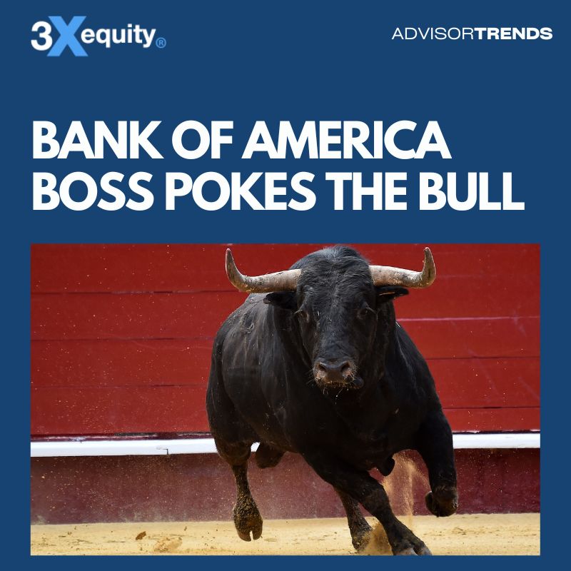 bank of america pokes the bull